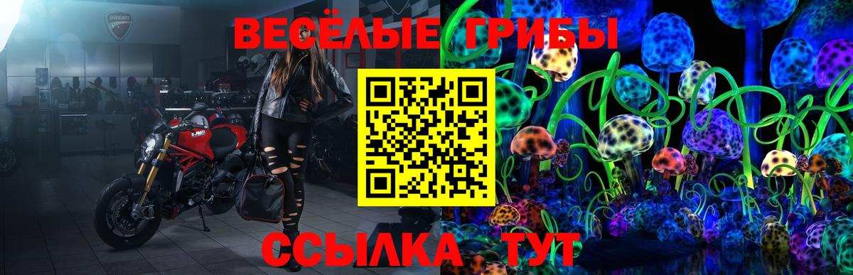 Псилоцибиновые грибы GOLDEN TEACHER Муравленко